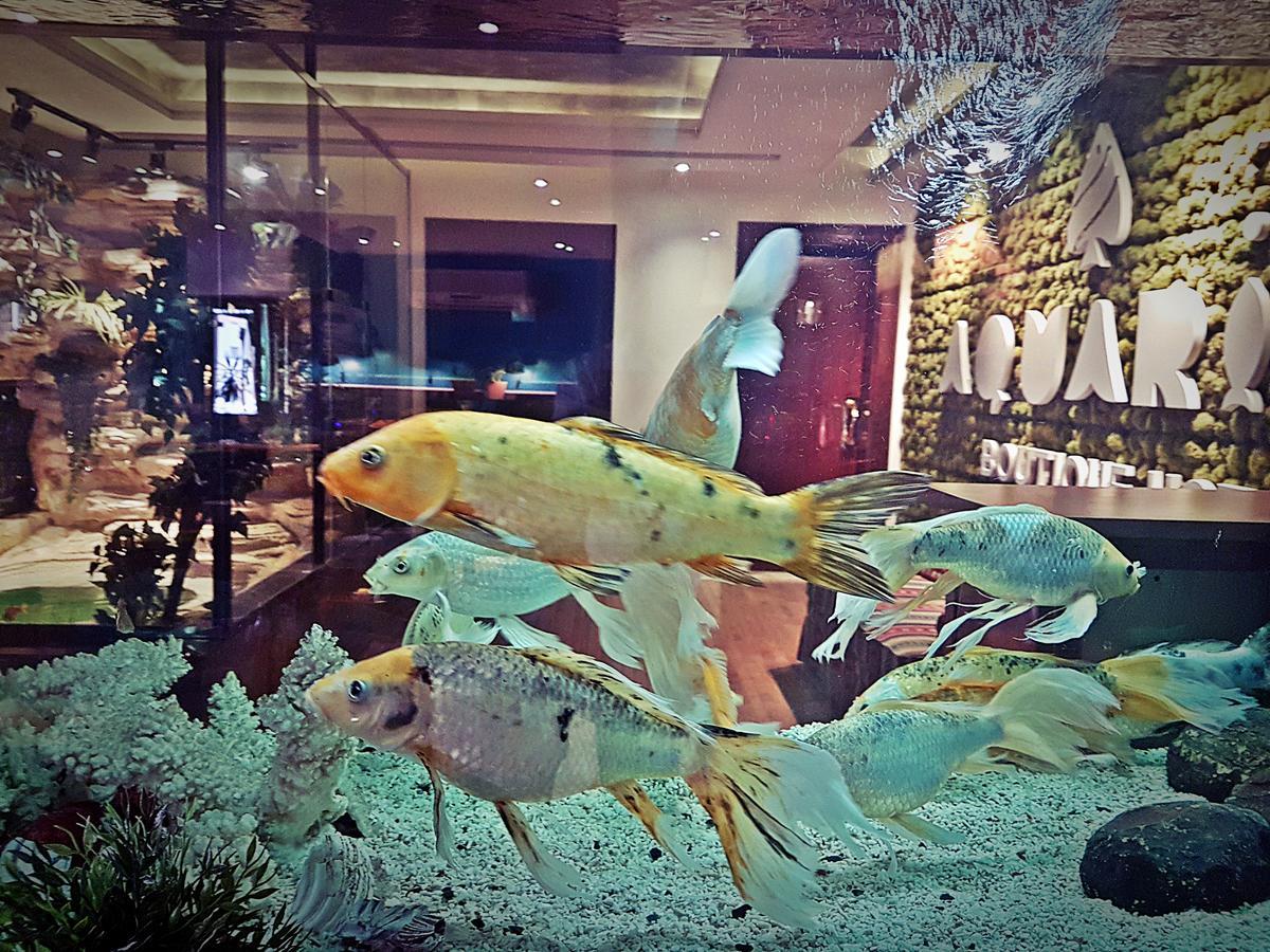 Aquarium Hotel Riyadh Exterior photo